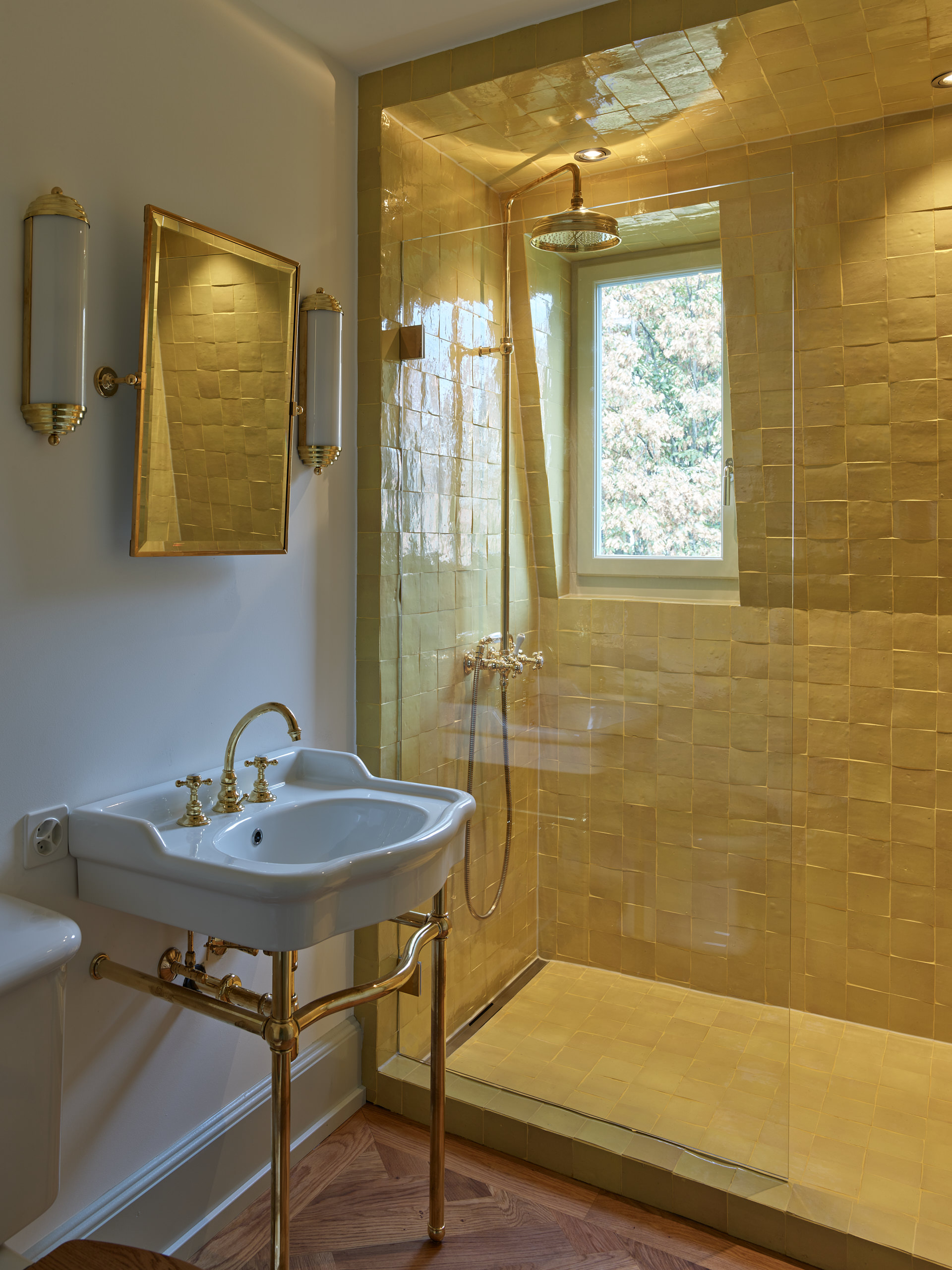 Renovation Signaustrasse, Zürich